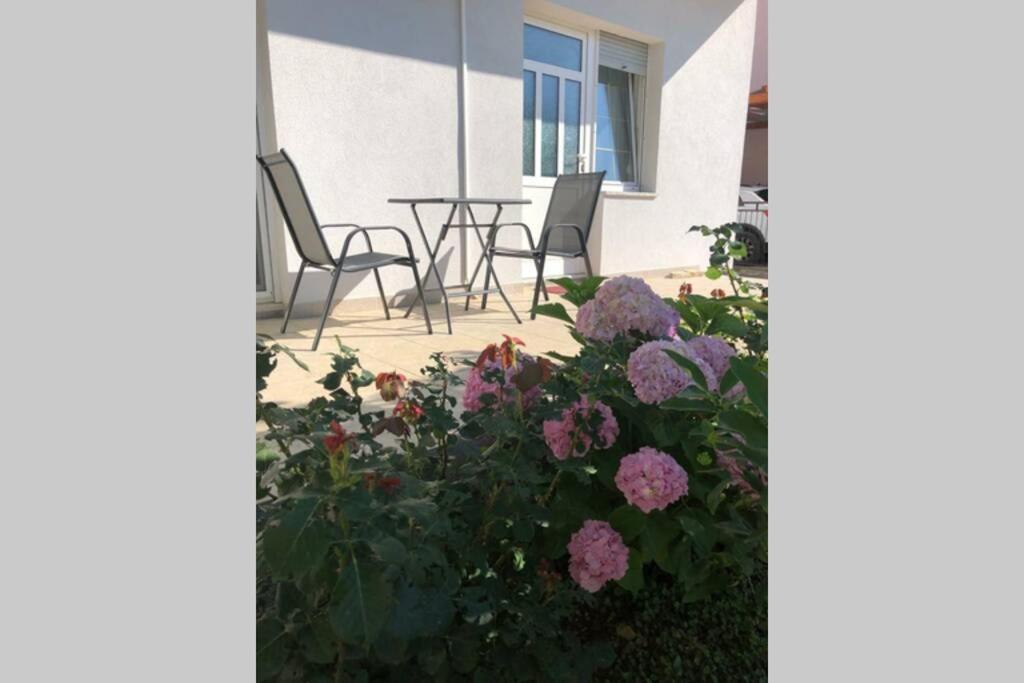 Marin Apartment Zadar Exterior foto